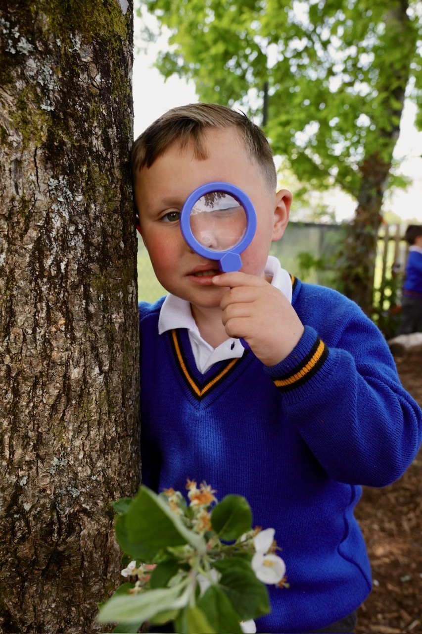 Mount Charles School outdoor learning