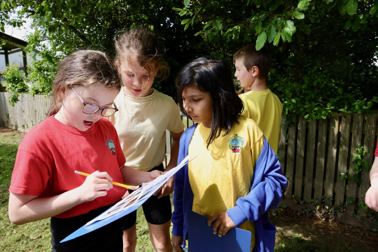 Fowey Primary School outdoor learning