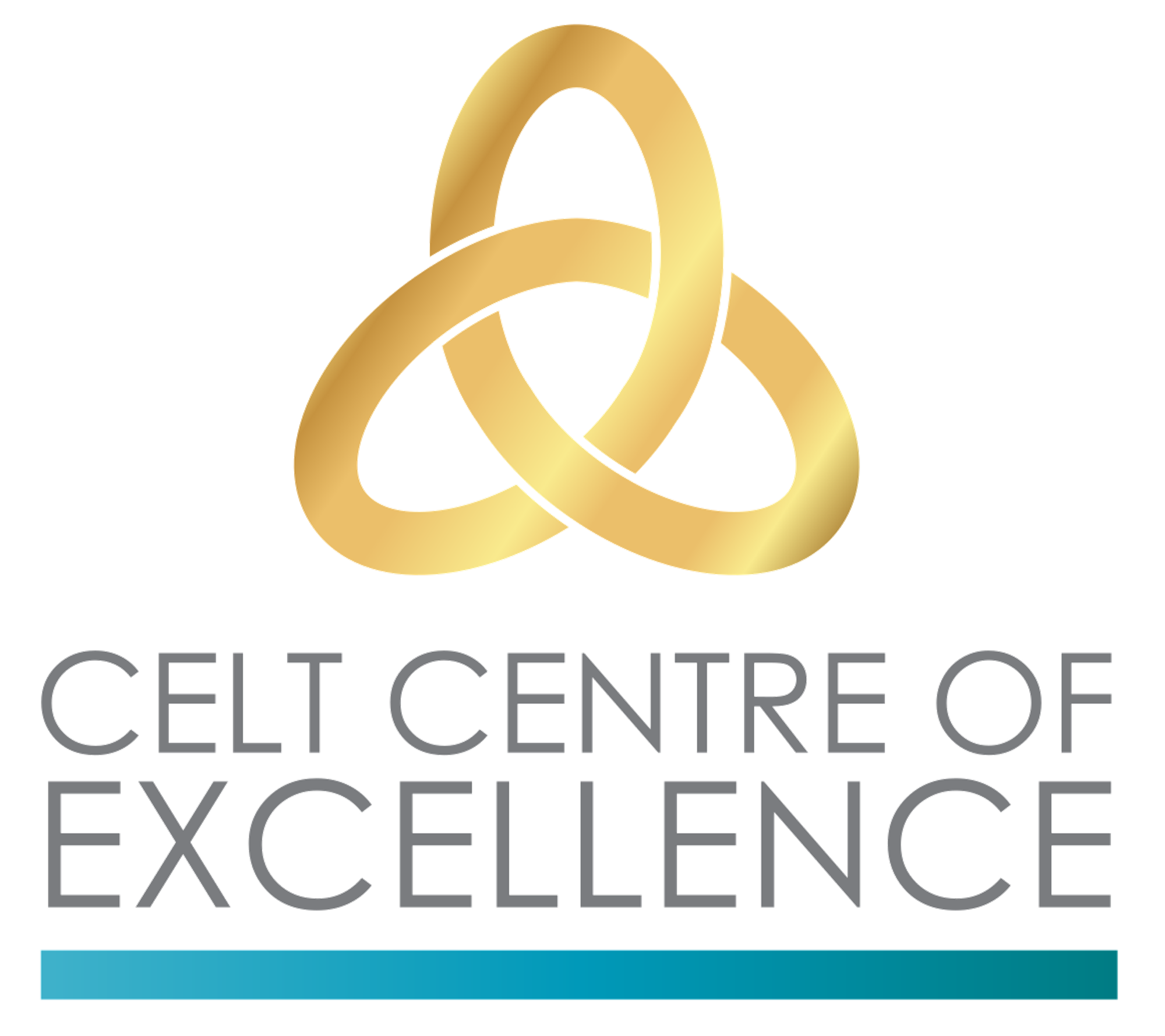 Centre of Excellence logo